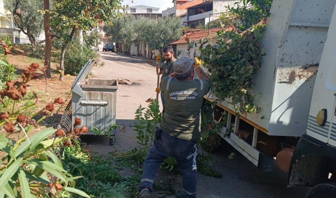 Orhangazi Belediyesi, çevre temizliği