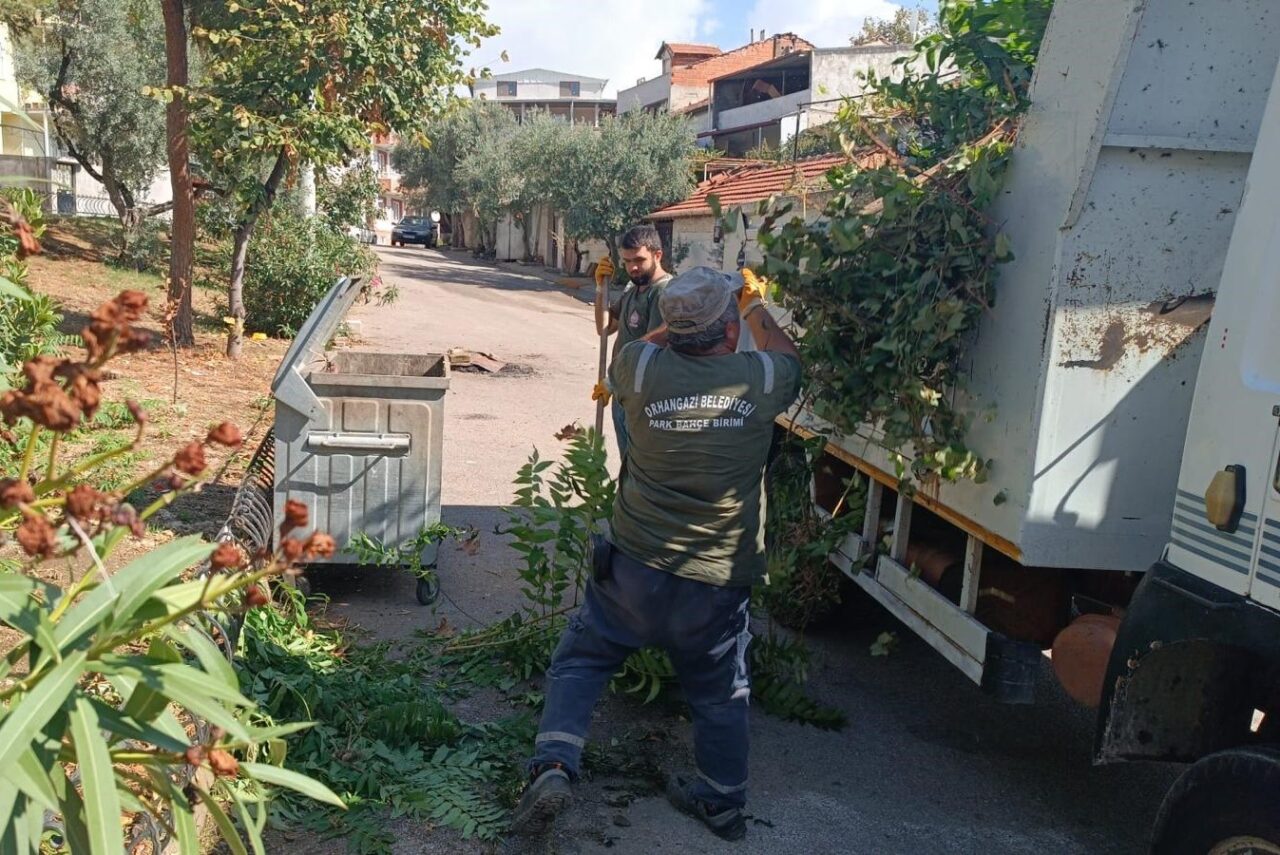 Orhangazi Belediyesinden dal toplama çalışmaları