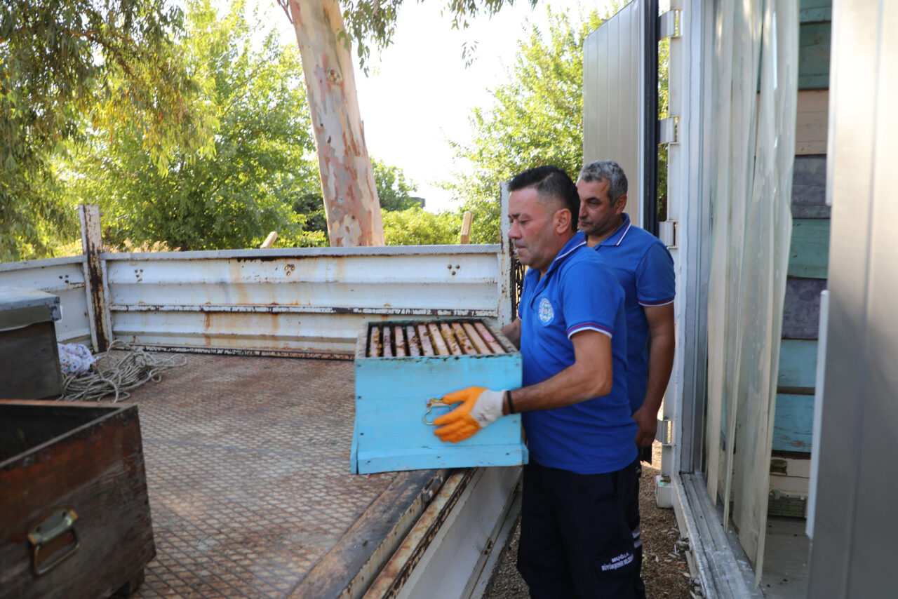 “Temiz Petek” projesi hizmet vermeye başladı