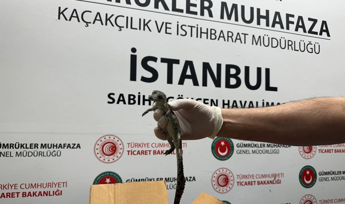 Ticaret Bakanlığı Gümrükler Muhafaza