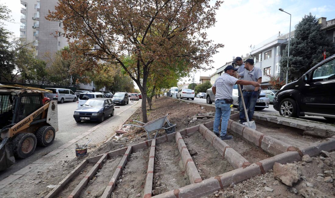 Yenimahalle Belediyesi, ilçenin farklı