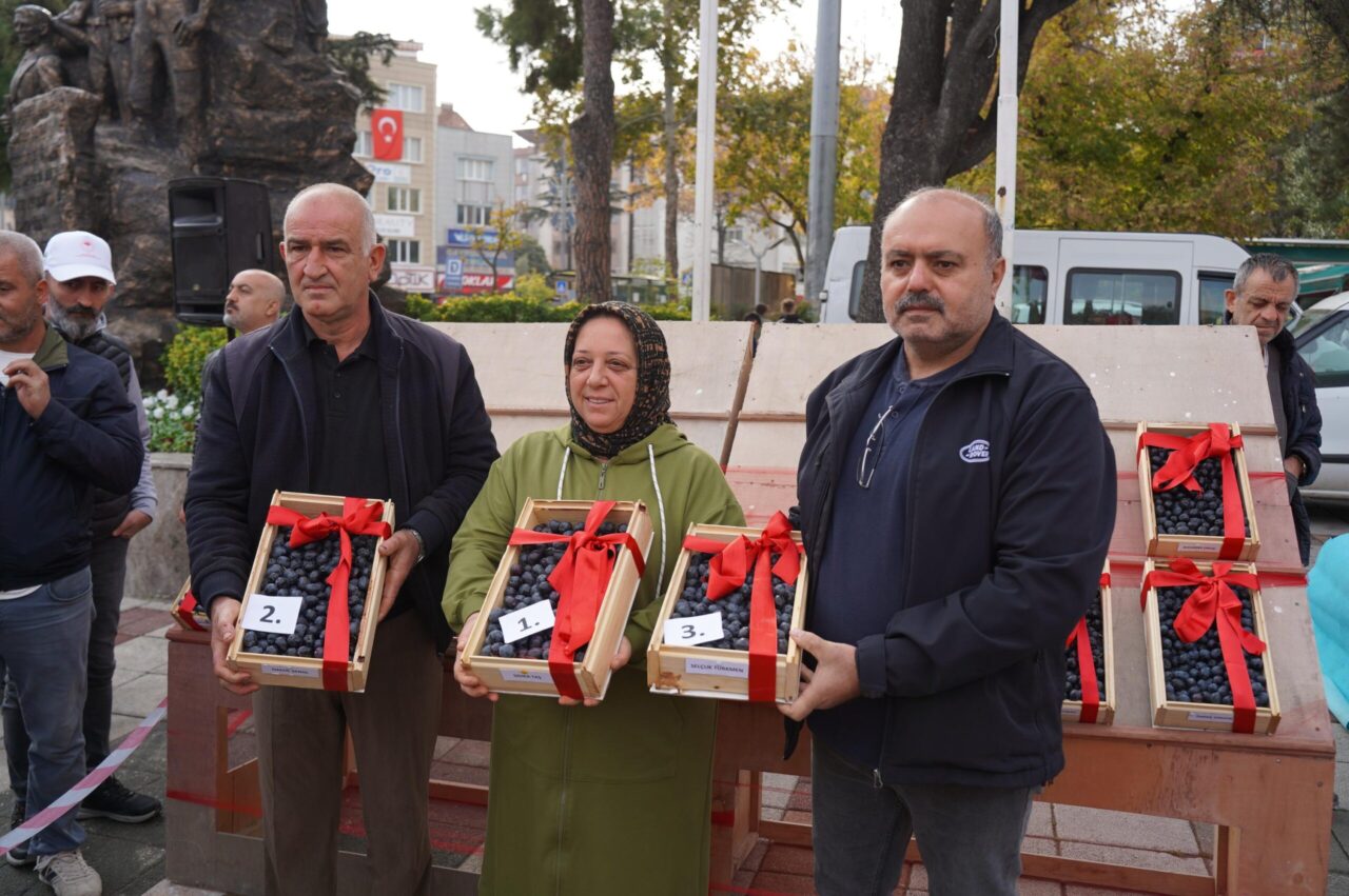 46. Orhangazi Zeytin Festivali gerçekleştirildi