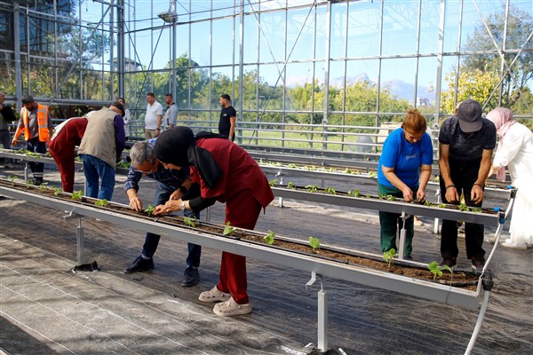 Antalya’da Alzheimer hastaları, rehabilitasyon için fide dikti