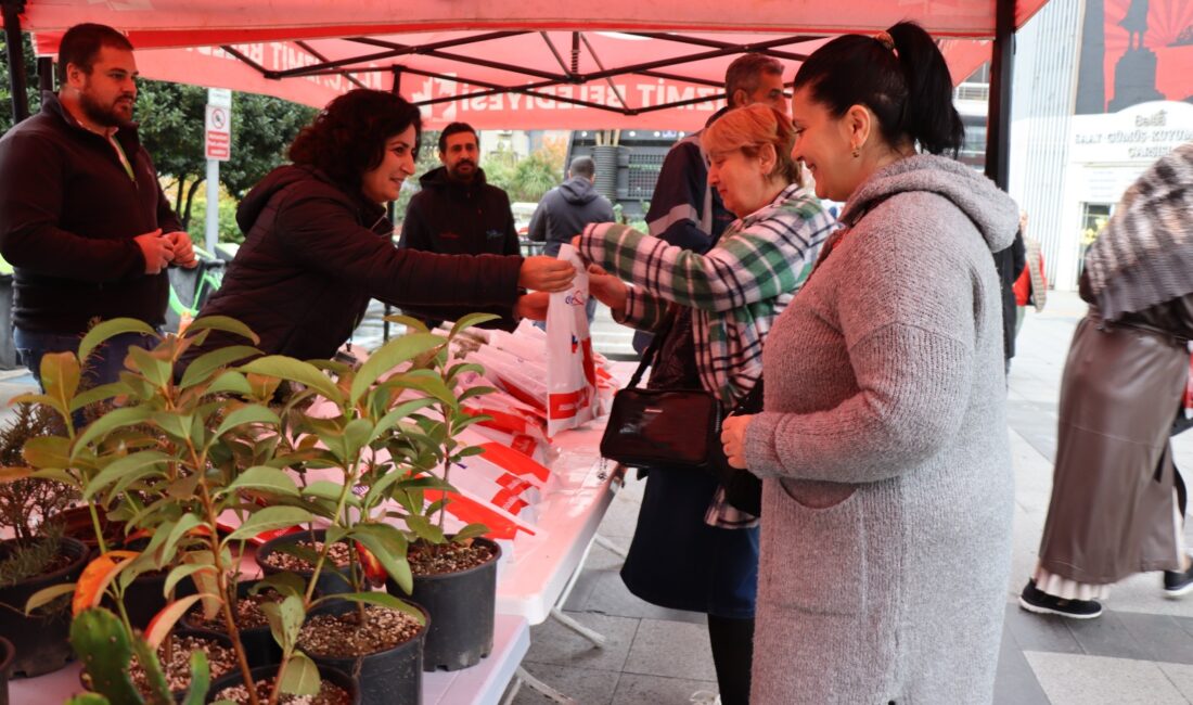 İzmit Belediyesi, ürettiği istiridye