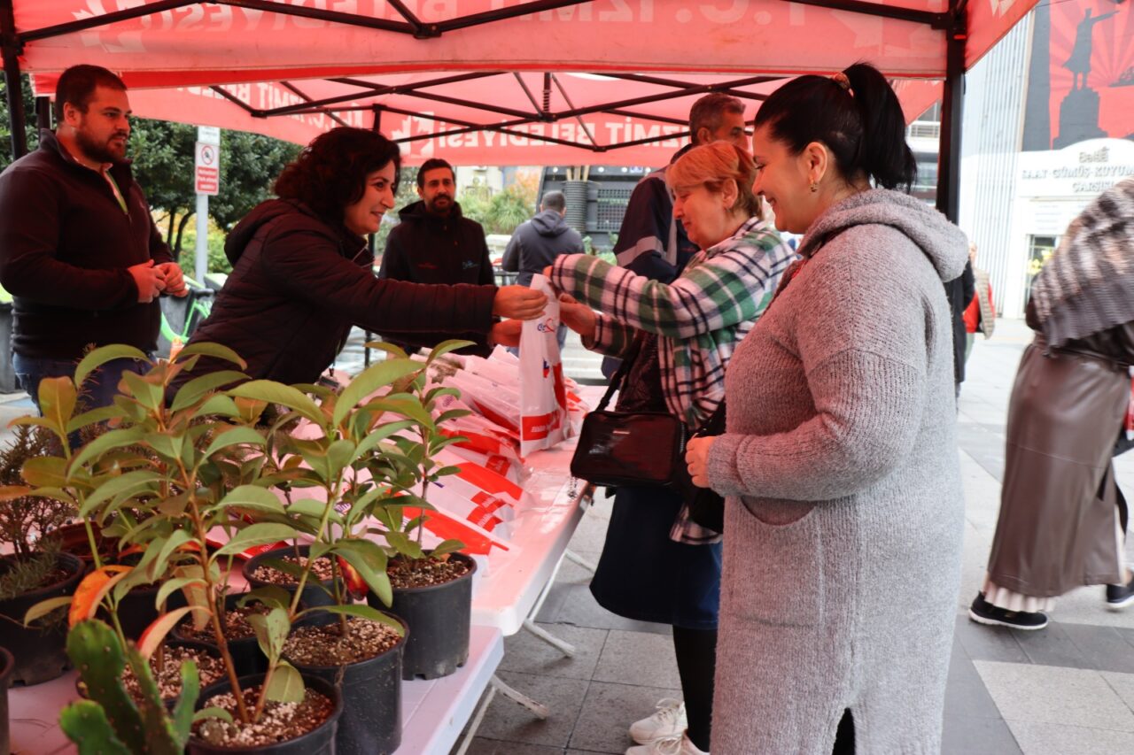 İzmit Belediyesi vatandaşlara istiridye mantarı ve fıstık çamı dağıttı