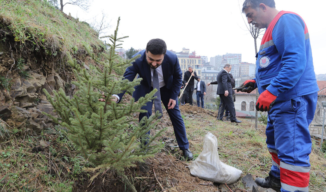 Kağıthane Belediyesi, ilçeyi daha