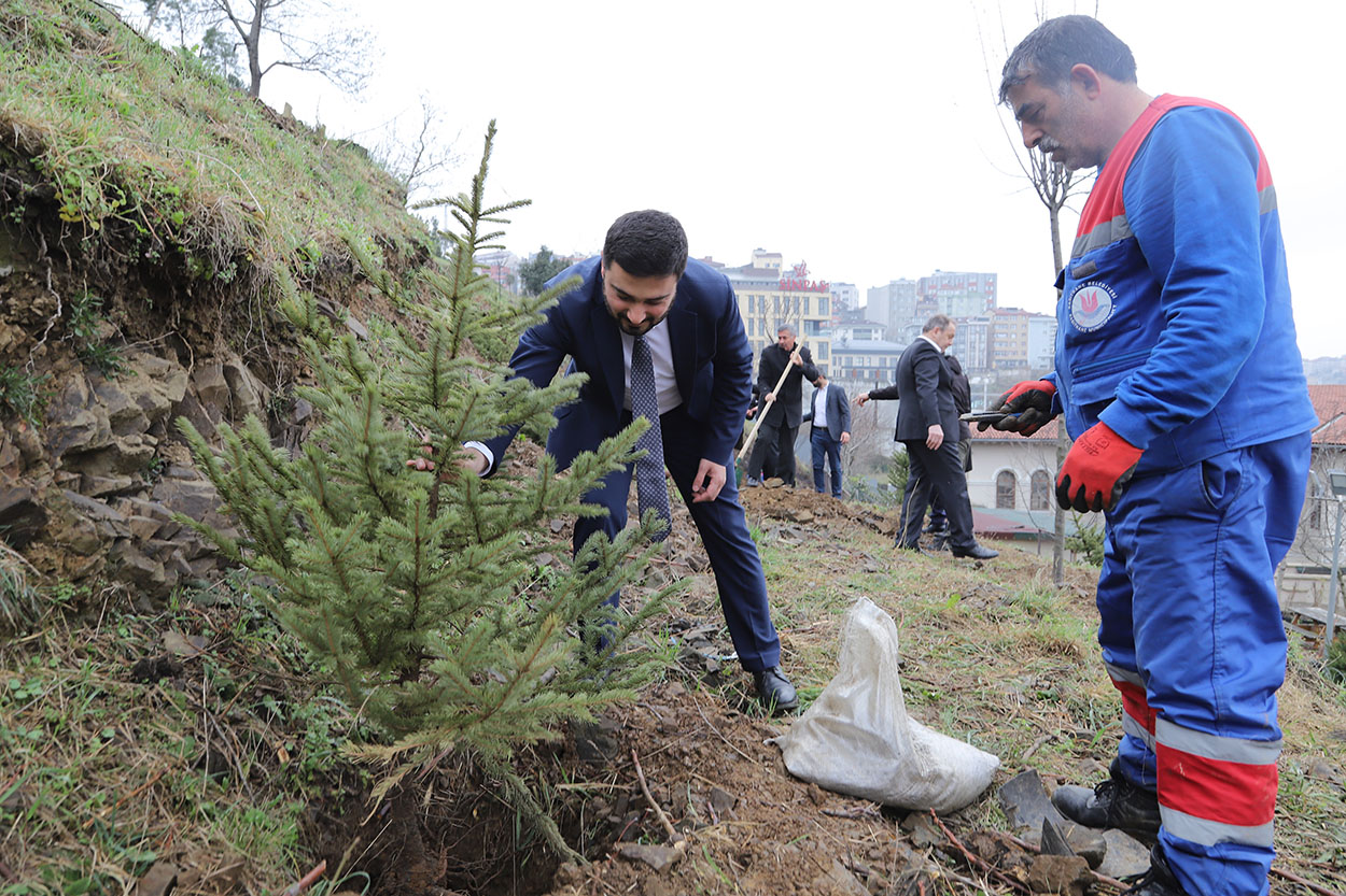 Kağıthane Belediyesi, 50 bin adet ağaç dikimi gerçekleştirdi