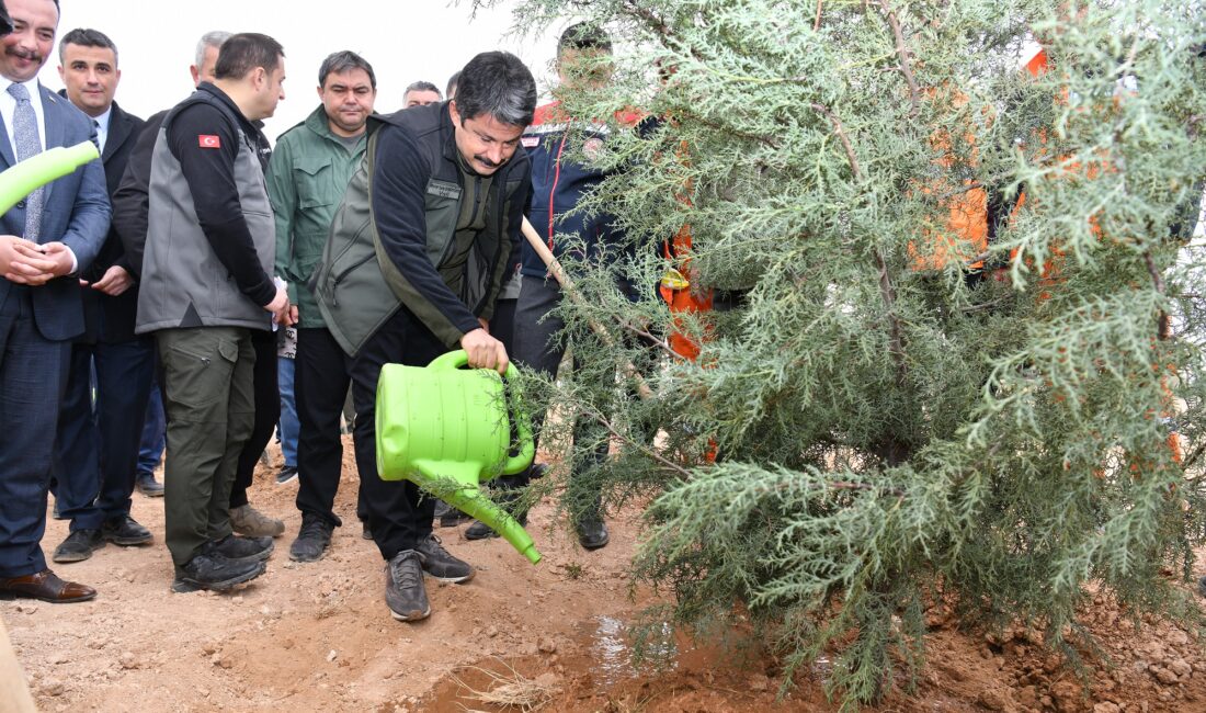 11 Kasım Milli Ağaçlandırma