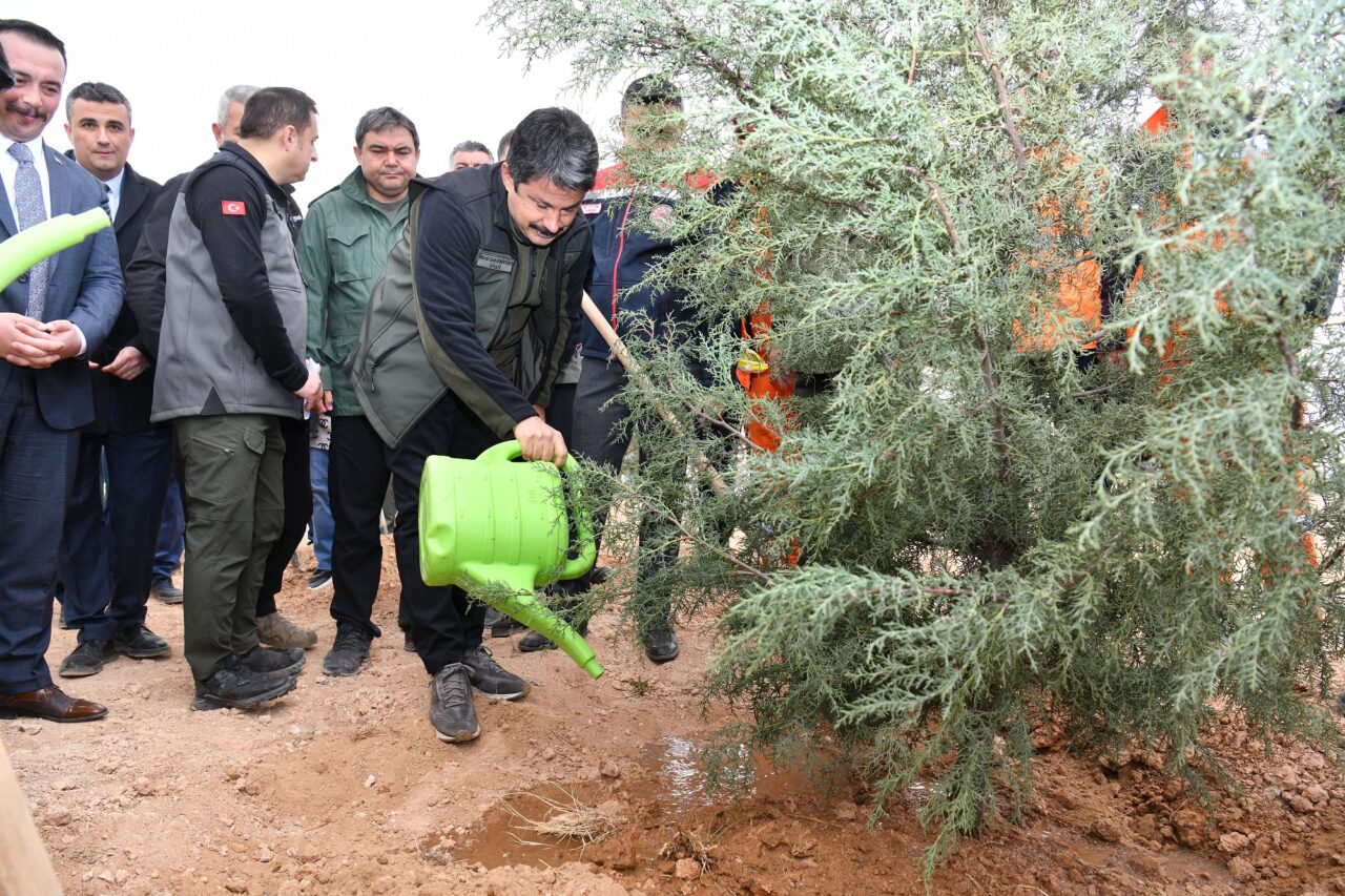 Kırşehir’de fidanlar toprakla buluştu