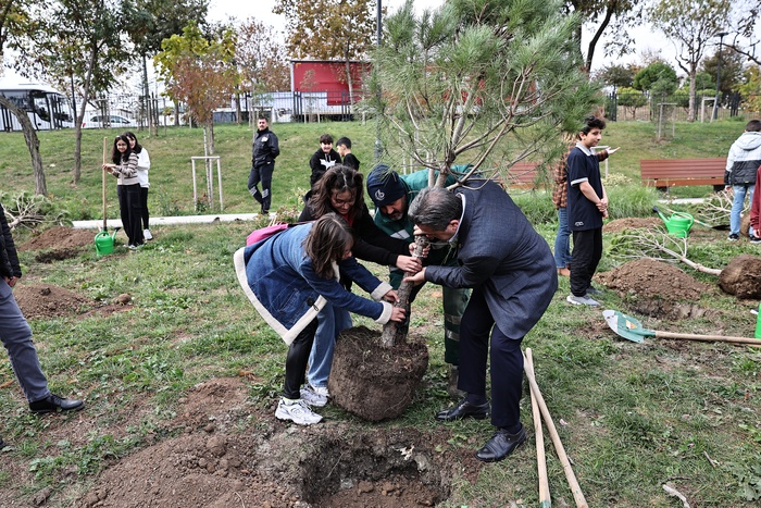 Millet Bahçesi’ne 30 fıstık çamı dikildi