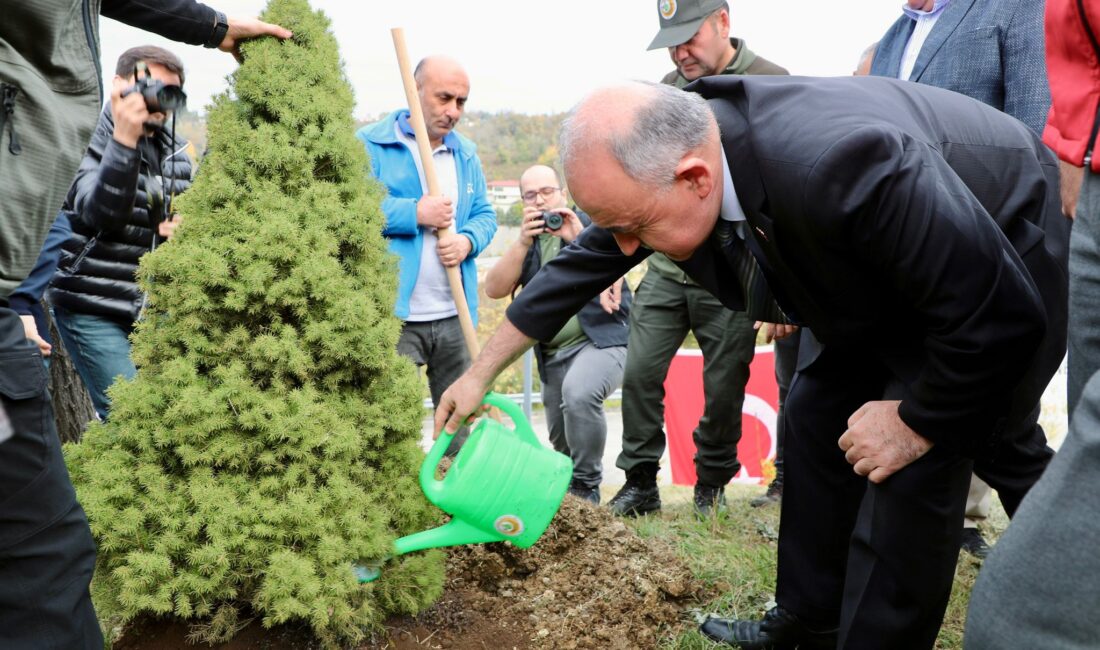 11 Kasım Milli Ağaçlandırma