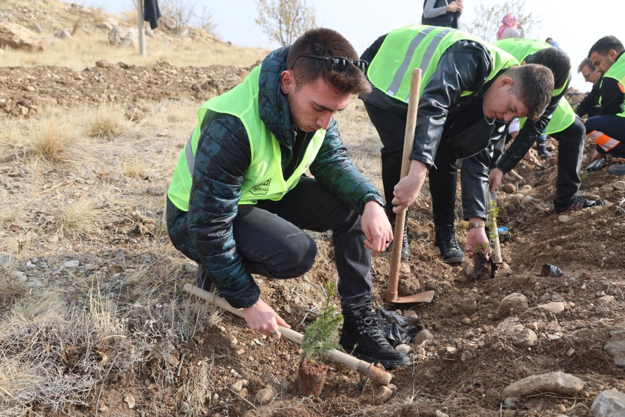 Milli Ağaçlandırma Günü’nde üniversiteli gençler fidanları toprakla buluşturdu