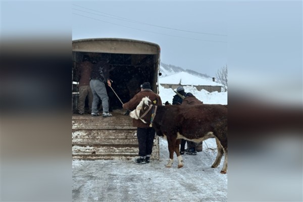 Ordu Büyükşehir Belediyesi ekipleri,