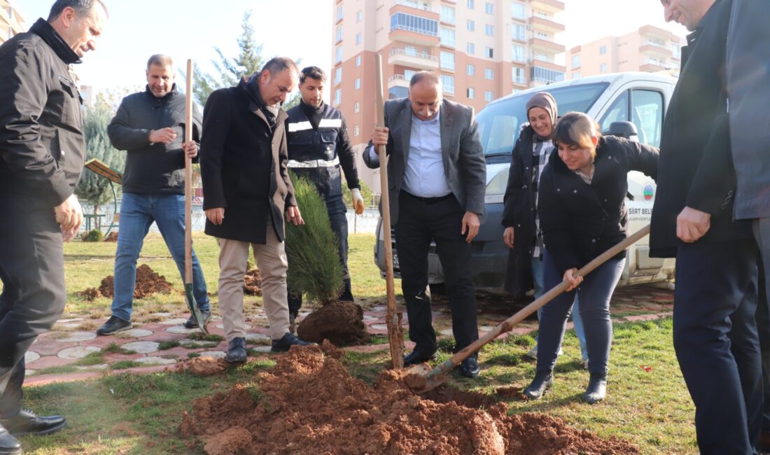 Siirt Belediyesi, kent genelinde