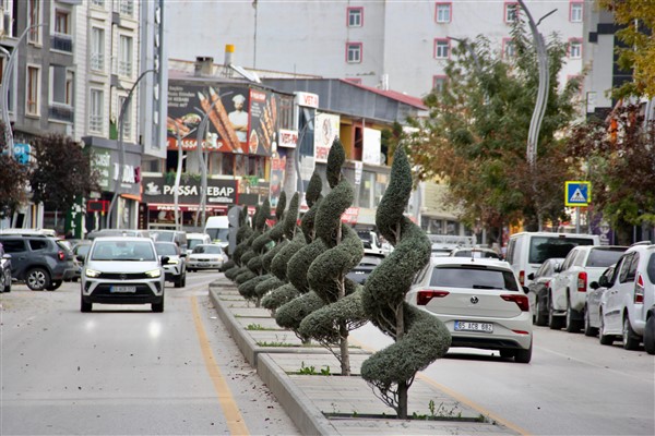 Van Büyükşehir Belediyesi, şehir